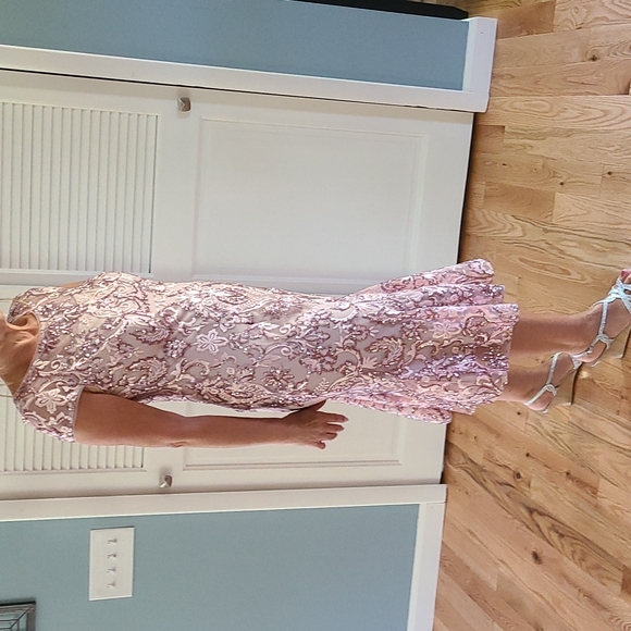 Alex Evenings Sequin Embroidered Cap Slv Flounce Hem Midi Dress Sz 6 NWOT - Picture 3 of 12